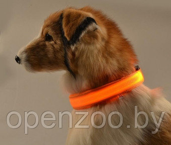 Светящийся ошейник для собак (3 режима) Glowing Dog Collar Оранжевый М (MAX 45 sm) - фото 1 - id-p102069869