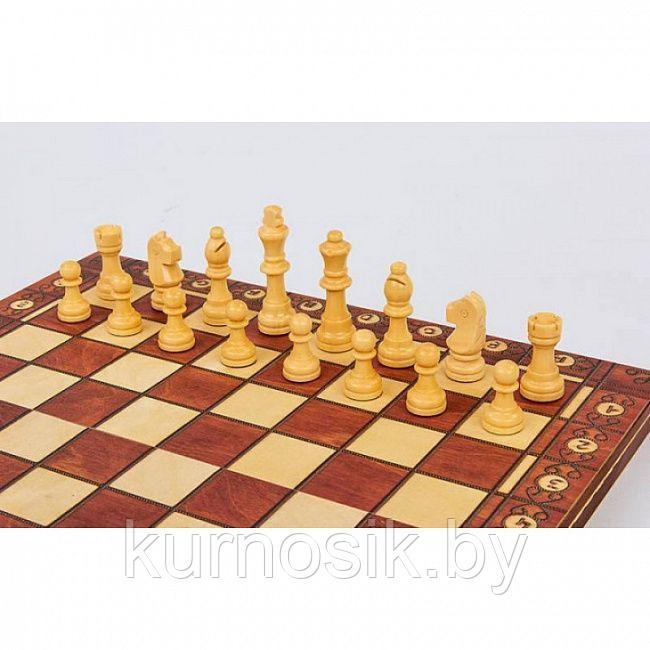 Настольная игра XINLIYE "Шахматы.Шашки.Нарды", W7702H - фото 7 - id-p190981611