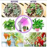 Фитолампа на 4 рожка для растений Plant Grow Light, фото 3