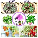 Фитолампа на 4 рожка для растений Plant Grow Light, фото 3