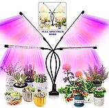 Фитолампа на 4 рожка для растений Plant Grow Light, фото 4