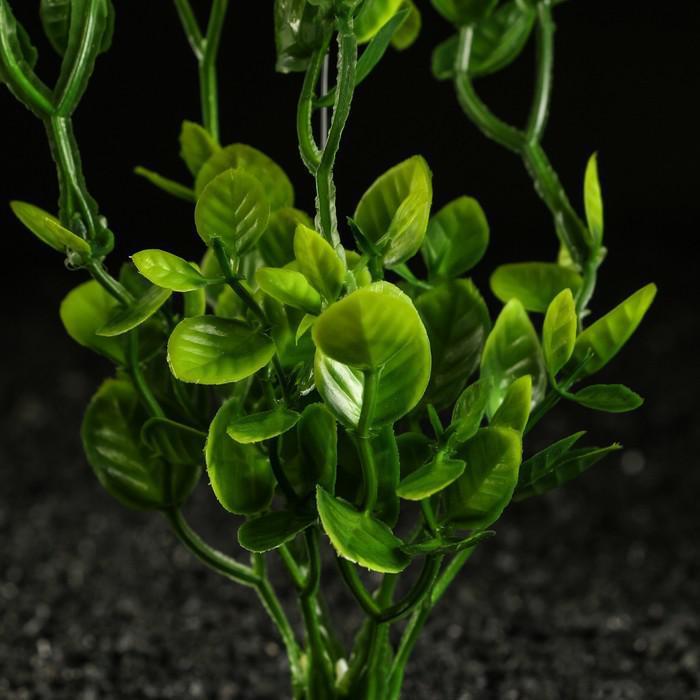 Набор растений искусственных для аквариума (2 шт), 25 см, зелёный - фото 2 - id-p190319485