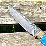 Нож разделочный в кожаном футляре Кизляр России Дамасская сталь / цветная рукоять карельская береза  Рысь, фото 3
