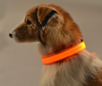 Светящийся ошейник для собак (3 режима) Glowing Dog Collar Оранжевый М (MAX 45 sm) - фото 1 - id-p102070259