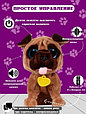 Собачка интерактивная "Умный питомец" на батарейках (звук, движение, мелодии) коричневый JD-R9902A, фото 3
