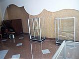 Музейная витрина низкая с полками, фото 5