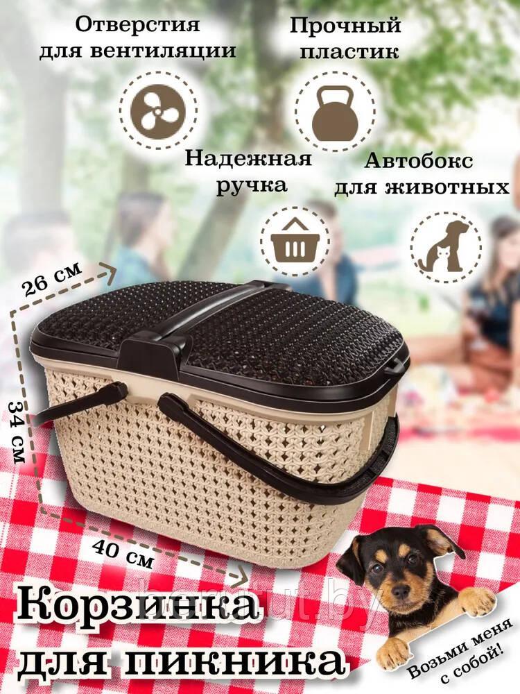 Корзина для пикника Paola 25л бежевый+коричневый - фото 3 - id-p191300643