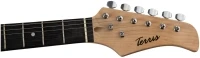 Электрогитара Terris Stratocaster SSS / TST-39 BK - фото 5 - id-p191305238