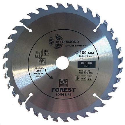 Диск пильный по дереву Trio-Diamond Forest Long Life 180x36Tx20/16 mm FLL816, фото 2