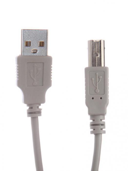 Аксессуар Gembird USB AM - USB BM 3m CC-USB2-AMBM-10 - фото 1 - id-p191135545