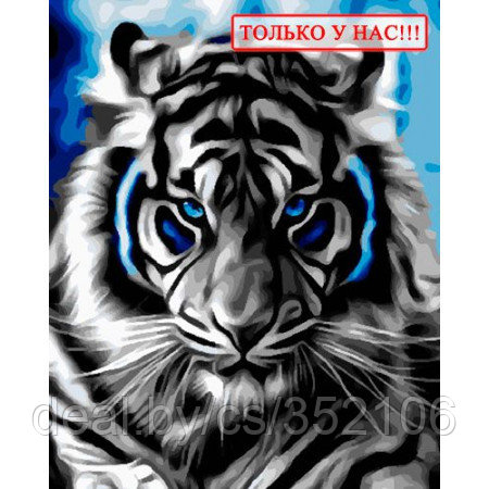 Рисование по номерам "Тигр" картина