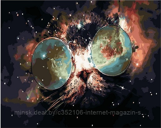 Рисование по номерам "Космический кот" картина