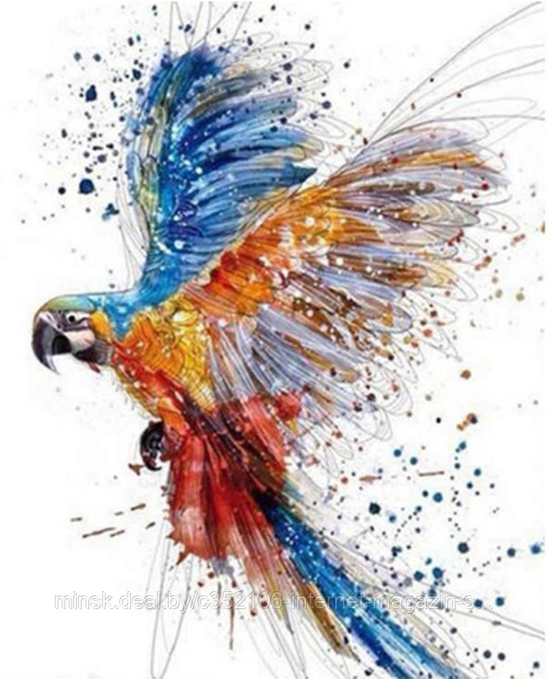Рисование по номерам "Тропический попугай" картина