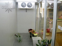 Камера холодильная "ПРОФХОЛОД" для цветов