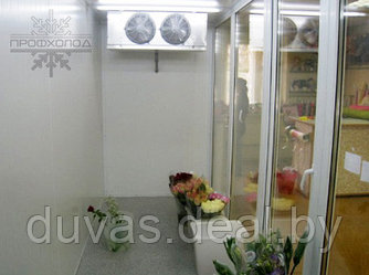 Камера холодильная "ПРОФХОЛОД" для цветов