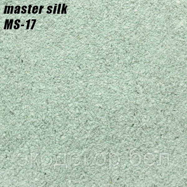 MASTER SILK - 17