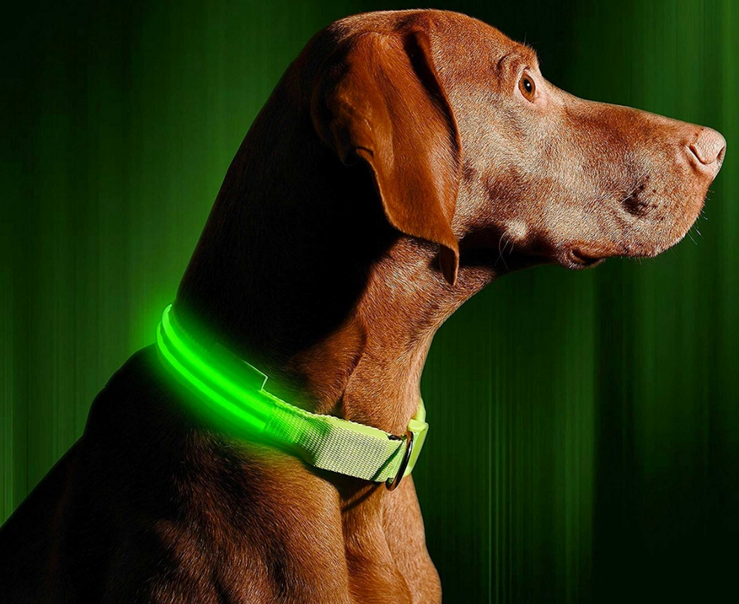 Светящийся ошейник для собак (3 режима) Glowing Dog Collar - фото 6 - id-p96704540