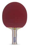 Ракетка для настольного тенниса Atemi Pro 3000 AN