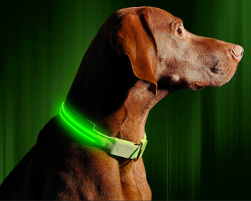 Светящийся ошейник для собак (3 режима) Glowing Dog Collar Зеленый S (MAX 40 sm)