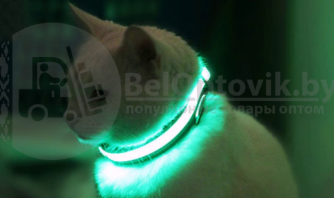 Светящийся ошейник для собак (3 режима) Glowing Dog Collar Черный М (MAX 45 sm) - фото 1 - id-p191703936