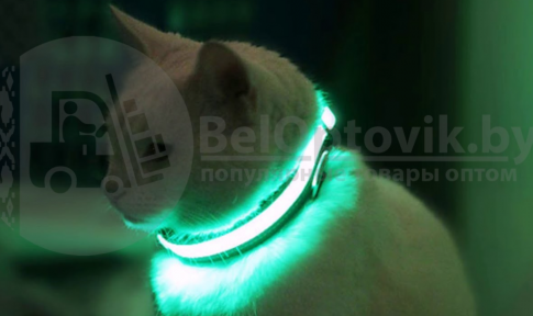 Светящийся ошейник для собак (3 режима) Glowing Dog Collar Черный М (MAX 45 sm) - фото 1 - id-p191703987