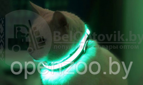 Светящийся ошейник для собак (3 режима) Glowing Dog Collar Черный М (MAX 45 sm) - фото 1 - id-p191704057