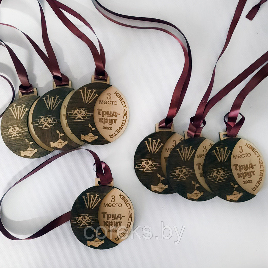 Наградная деревянная медаль "Квест - эстафета" №10 - фото 1 - id-p135526179