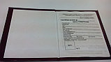 Пенсионное удостоверение в твердой обложке (бумвинил), фото 3