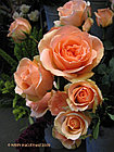 Роза чайно-гибридная VERSILIA, фото 3