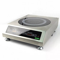 Индукционная плита iPlate ALISA 3500