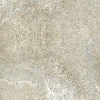 Плитка Gresse Petra Limestone 600х600 Ракушечник серо-зеленый