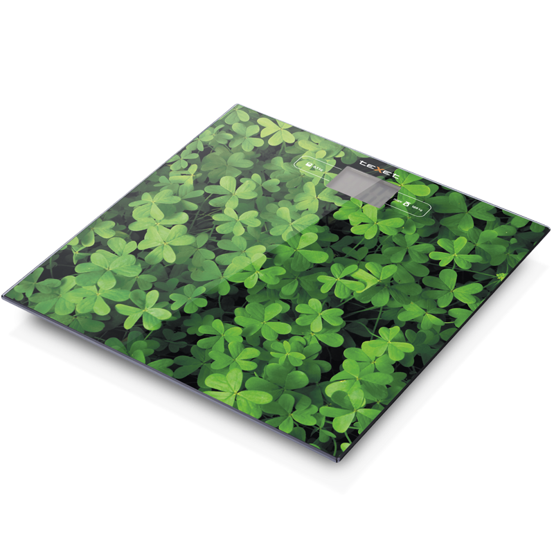 Напольные весы teXet TSC-01f цвет зеленый