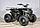 Квадроцикл ATV Regulmoto HAMMER 125 черный, фото 9