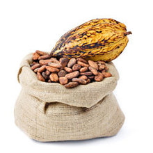Какао бобы и продукты их переработки, какао-масло, какао-порошок обезжиренный 0-2%