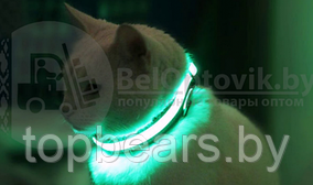 Светящийся ошейник для собак (3 режима) Glowing Dog Collar Черный М (MAX 45 sm)