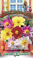 Георгина Чародейка смесь 0,3г Одн 45см (Гавриш) Чудесный балкон