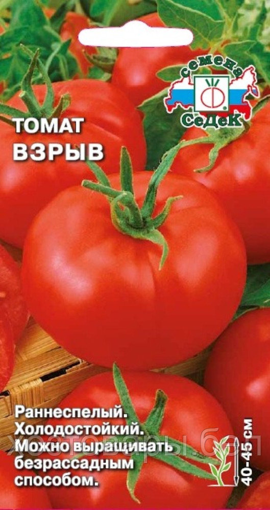 Томат Взрыв 0,1г Дет Ранн (Седек)