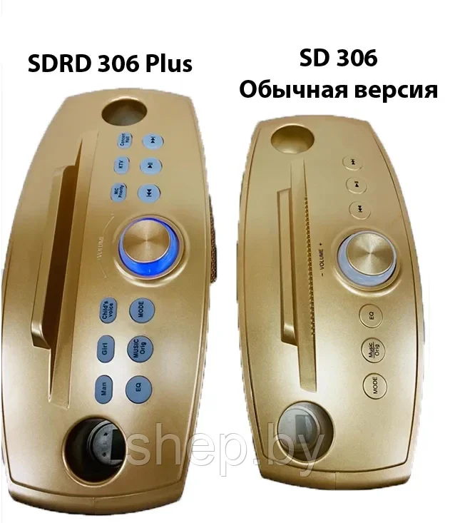 Беспроводная семейная Караоке система SDRD SD-306 PLUS с двумя беспроводными микрофонами - фото 5 - id-p192327626