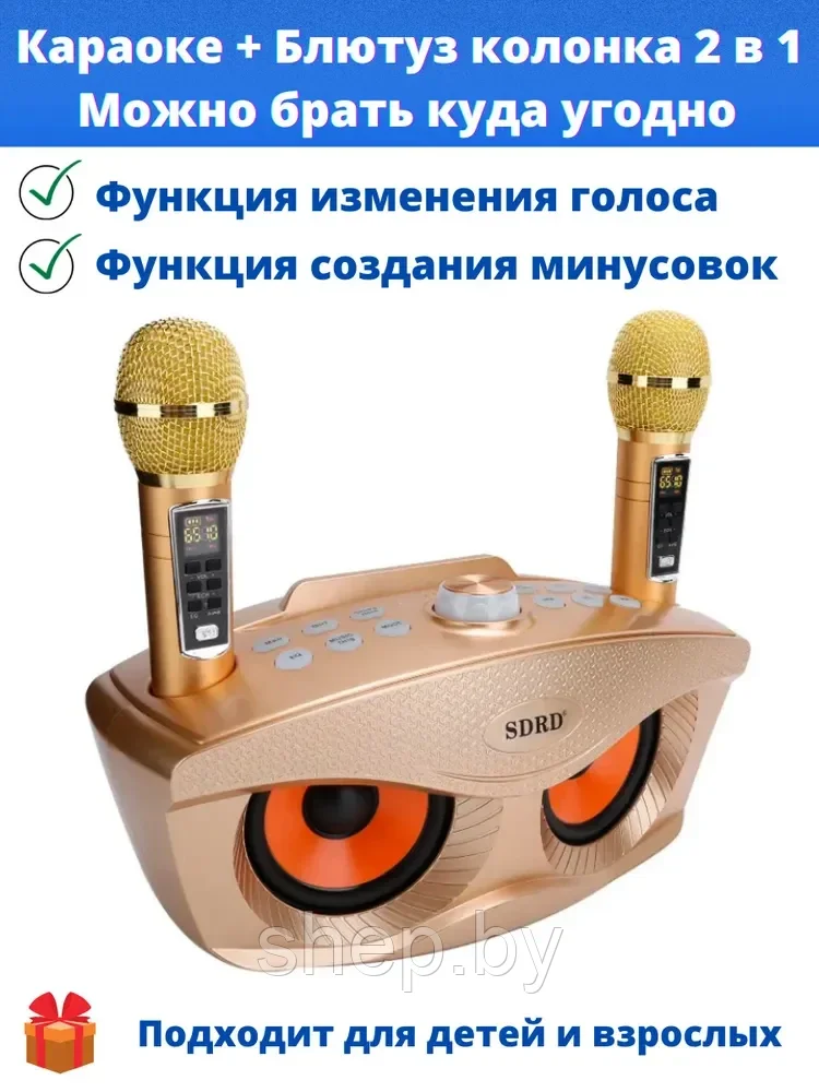 Беспроводная семейная Караоке система SDRD SD-306 PLUS с двумя беспроводными микрофонами - фото 7 - id-p192327626
