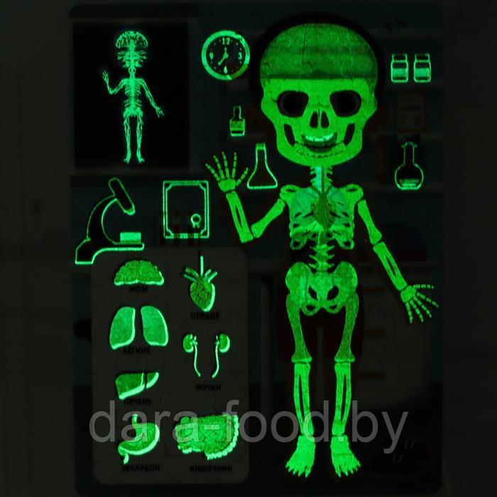 Пазлы светящиеся «Рентген-кабинет», 88 деталей - фото 4 - id-p192468232