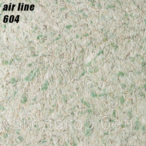 AIR LINE - 604