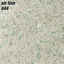 AIR LINE - 604