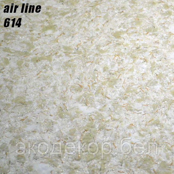 AIR LINE - 614