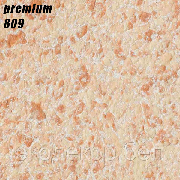 PREMIUM - 809