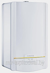 Газовый котел De Dietrich WHE 2.24 FF-3S