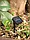 Светодиодная гирлянда Чудесный Сад GRG-C550 Вишенки, фото 2