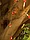 Светодиодная гирлянда Чудесный Сад GRG-C550 Вишенки, фото 5