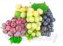Питание винограда