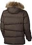 Куртка мужская Columbia Portage Glacier III Down Long Jacket коричневый, фото 3