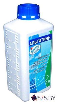 Химия для бассейна Маркопул Кемиклс Альгитинн 1 л, фото 2